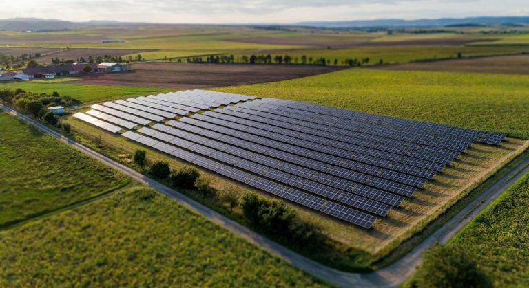 La nueva tendencia que combina parques solares con agricultura