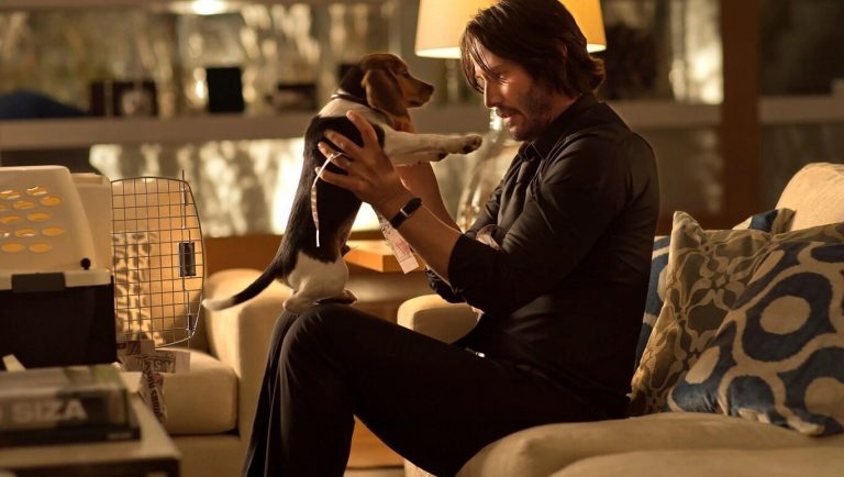 Saga John Wick se reestrena en cines esperando la llegada de “John Wick 4” el 23 de marzo