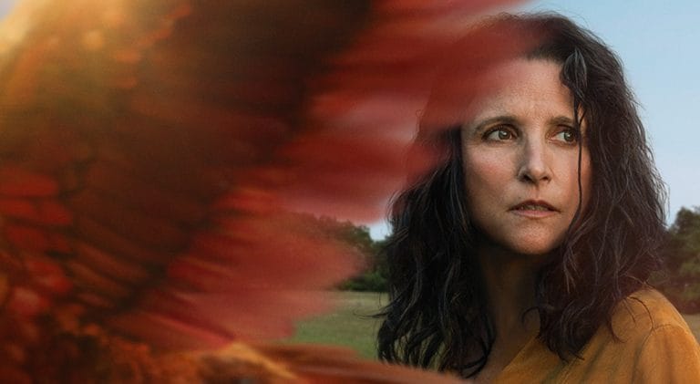 A24 lanza tráiler de “Tuesday”, película protagonizada por Julia Louis-Dreyfus