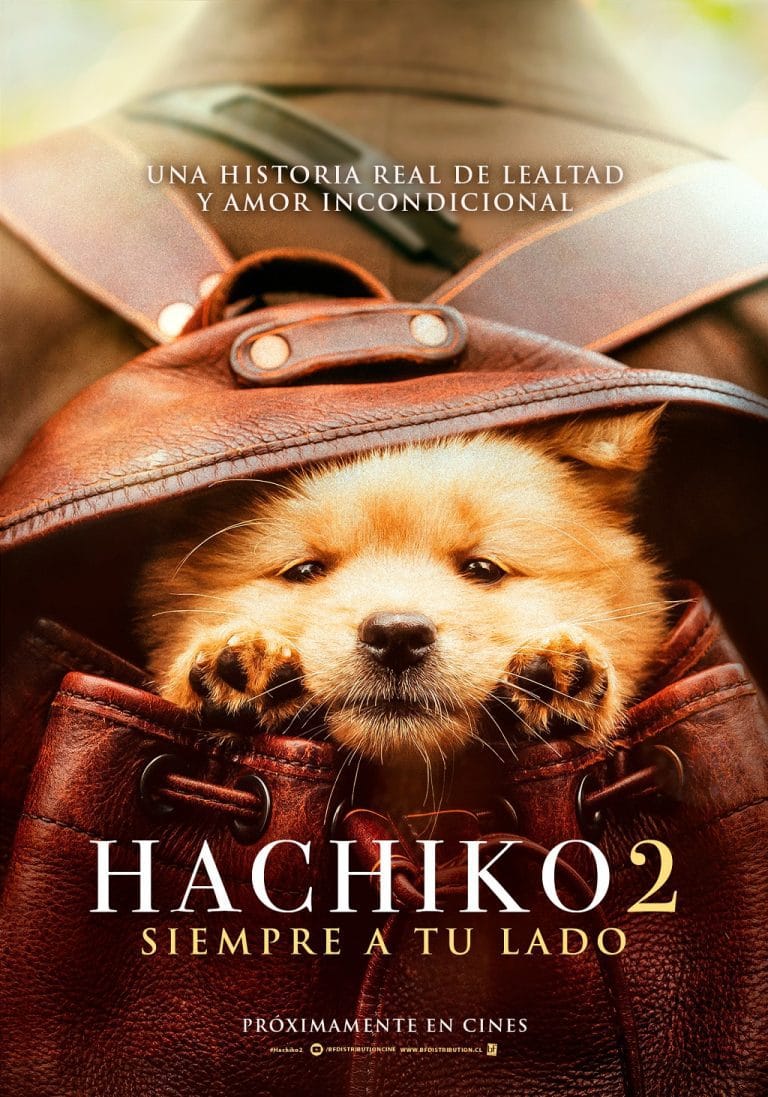 “Hachiko 2: Siempre a tu lado”: regresa una de las historias más ...