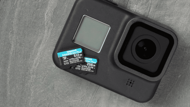Día de la Fotografía: Consejos de Kingston para principiantes y expertos