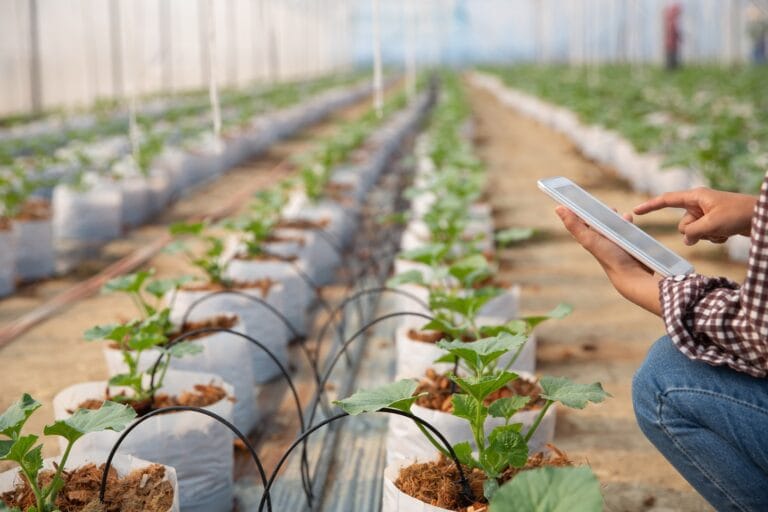 NEC y ClimateAi presentan modelo para impulsar adaptación climática en agricultura